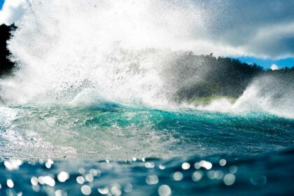 Vue de dos d'une vague à Hawaï.